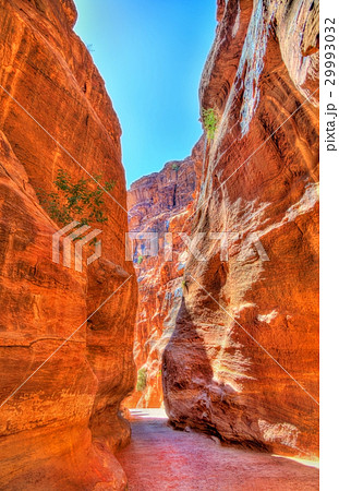 Road inside the Siq Canyon at Petra 29993032