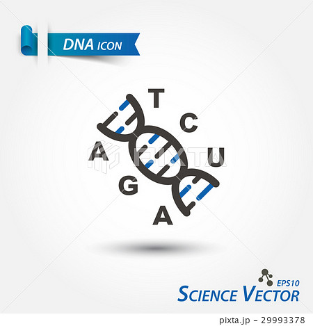 DNA icon ( Deoxyribonucleic Acid )  29993378