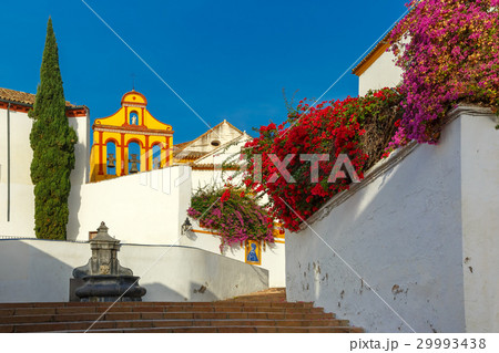 The sunny street in Cordoba, Spain The sunny street in Cordoba, Spain 29993438