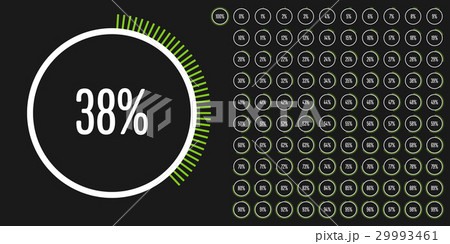 Set of circle percentage diagrams from 0 to 100 29993461
