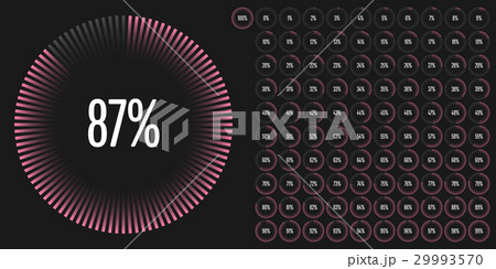 Set of circle percentage diagrams from 0 to 100 29993570