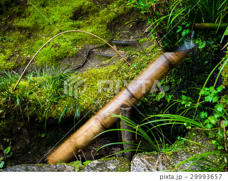 詩仙堂の鹿威し 詩仙堂の鹿威し 29993657