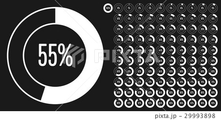 Set of circle percentage diagrams from 0 to 100 29993898
