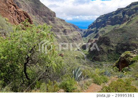 Landscape in Barranco de Guayadeque, Gran Canaria 29995361