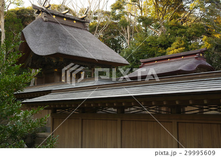 大洗磯前神社　本殿 29995609