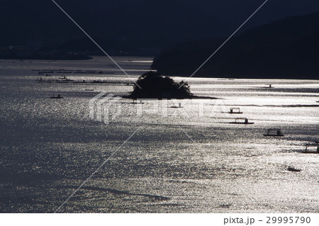 銀の波 銀の波 29995790