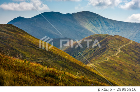 path through a meadow on mountain ridge 29995816