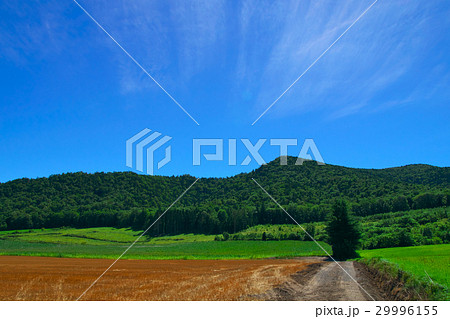 道東の風景 29996155