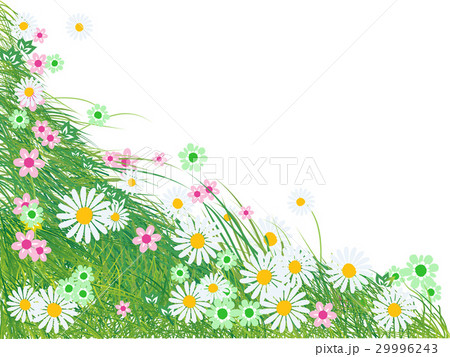 Grass silhouette green, summer background 29996243