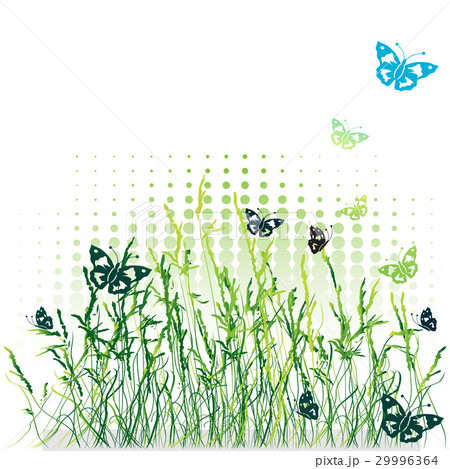 Grass silhouette green, summer background Grass silhouette green, summer background 29996364