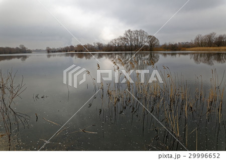 Grey spring evening. Grey spring evening. 29996652