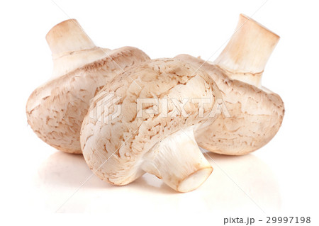 Three fresh champignons mushrooms isolated on a Three fresh champignons mushrooms isolated on a 29997198