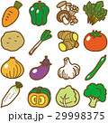 野菜 29998375