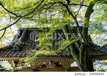 富貴寺 29998684
