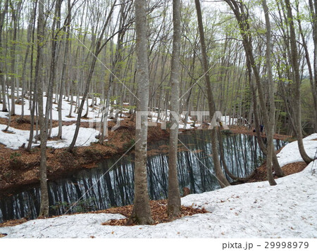 松之山温泉:美人林 松之山温泉:美人林 29998979