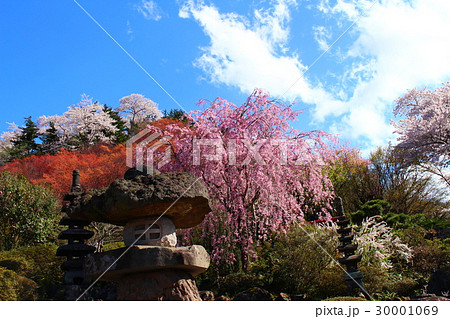 花見山公園 花見山公園 30001069