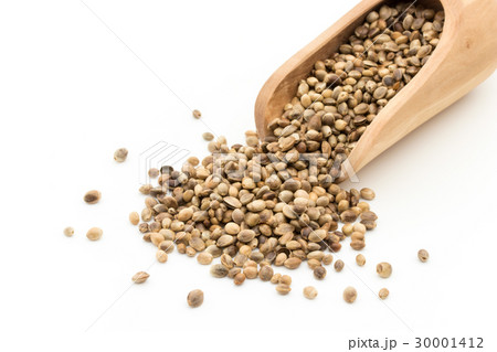 ヘンプシード（麻の実）: Hemp seeds 30001412