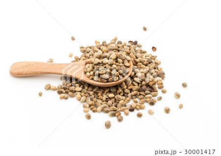 ヘンプシード（麻の実）: Hemp seeds 30001417
