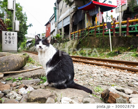 平渓線 電車 列車 30002879