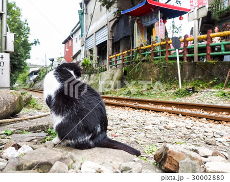 平渓線 電車 列車 30002880