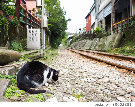 平渓線 電車 列車 30002881