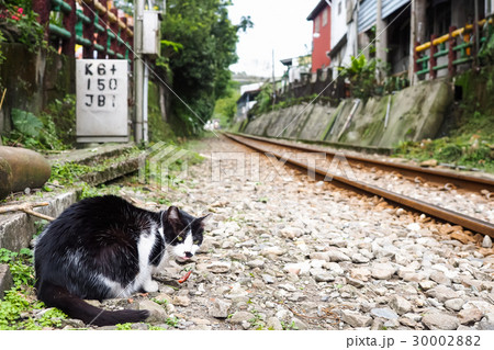 平渓線 電車 列車 30002882