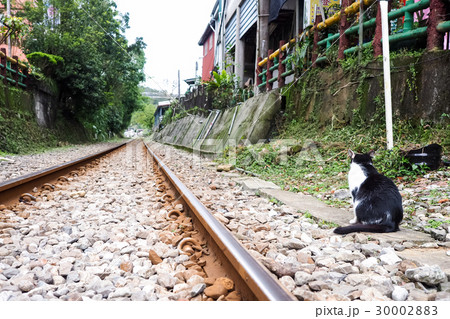 平渓線 電車 列車 30002883