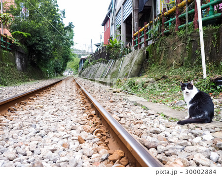 平渓線 電車 列車 30002884
