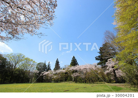 長篠城跡 30004201