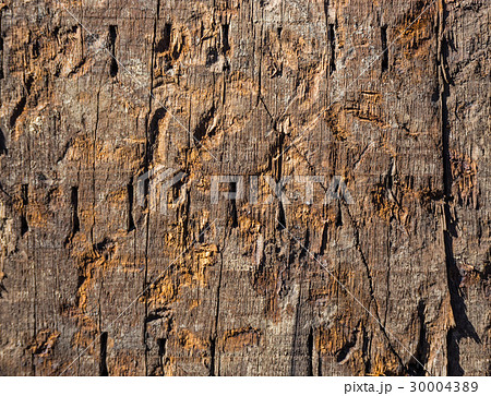 abstract wood texture from old house 30004389