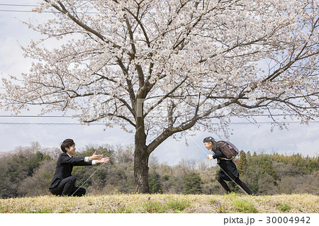 お父さんに駆け寄る新1年生 30004942