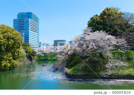 千鳥ヶ淵の満開の桜にレジャーボートの花見客 千鳥ヶ淵の満開の桜にレジャーボートの花見客 30005920
