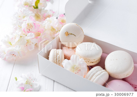 French pastel macarons French pastel macarons 30006977