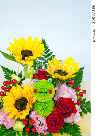 カエルのアレンジメント 30007386