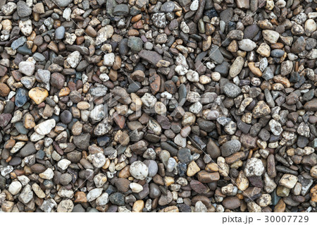 Wet dirty pebble, Black Sea coast Wet dirty pebble, Black Sea coast 30007729