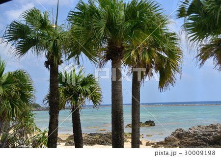 奄美大島用安海岸 30009198