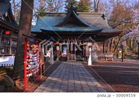 富士吉田市小室浅間神社 (下浅間) 富士吉田市小室浅間神社 (下浅間) 30009559