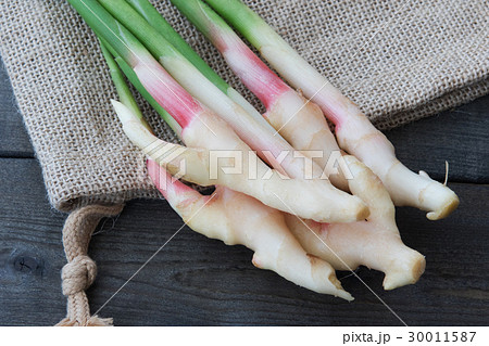 生姜 生姜 30011587