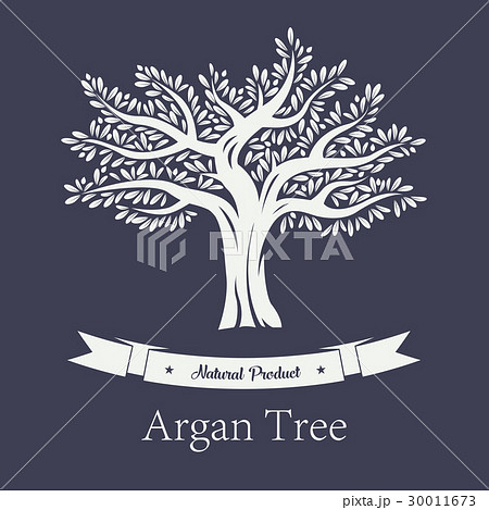 Natural tree with foliage, argania and argan plant 30011673