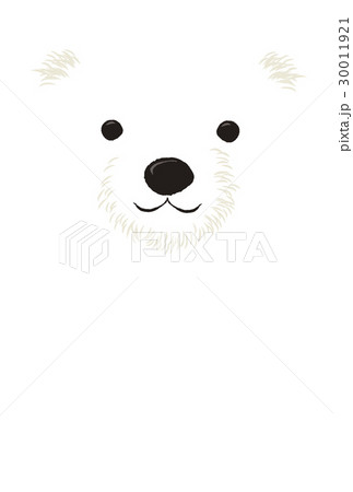 白クマ 顔 白クマ 顔 30011921