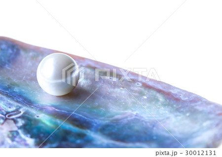 貝片と貝パール 30012131