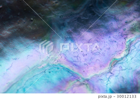 貝片の構造色 30012133