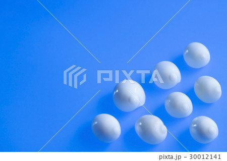 白い貝殻 30012141