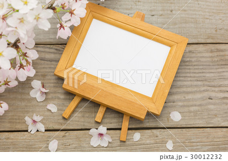 フォトフレームとさくらの花 30012232