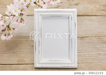 白い写真フレームとさくらの花 白い写真フレームとさくらの花 30012233