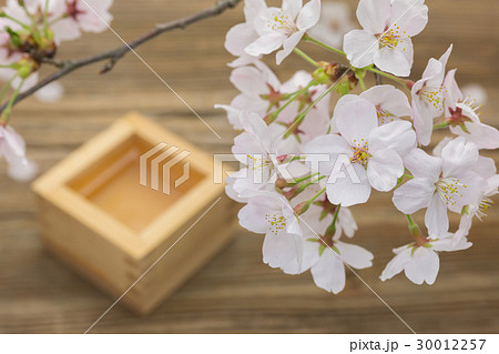 桜の花と升酒　升酒ぼかし 30012257