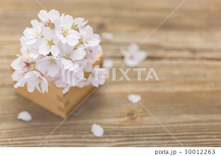 桜と日本酒 桜と日本酒 30012263