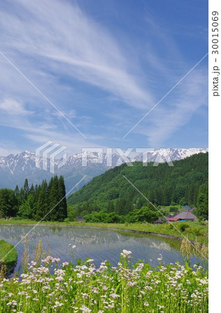 信州 白馬村 青鬼(あおに)集落 棚田から北アルプスをのぞむ 伝統的建造物群保存地区 信州 白馬村 青鬼(あおに)集落 棚田から北アルプスをのぞむ 伝統的建造物群保存地区 30015069