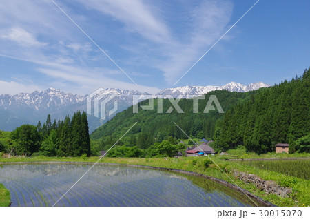 信州　白馬村　青鬼（あおに）集落　棚田から北アルプスをのぞむ　伝統的建造物群保存地区 30015070