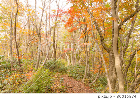 秋の国上山 30015874